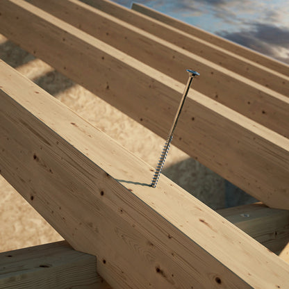 TBS Flange Head Screw